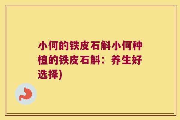 小何的铁皮石斛小何种植的铁皮石斛：养生好选择)