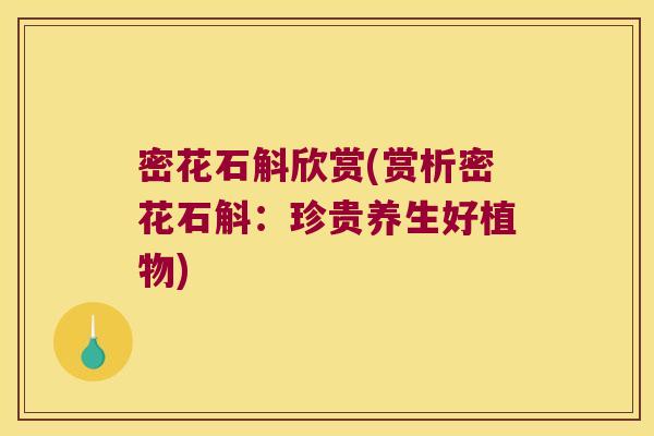 密花石斛欣赏(赏析密花石斛：珍贵养生好植物)
