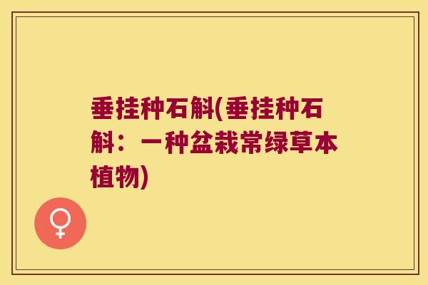 垂挂种石斛(垂挂种石斛：一种盆栽常绿草本植物)