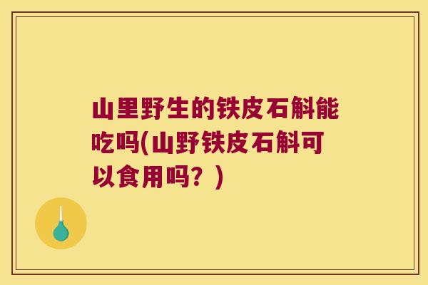 山里野生的铁皮石斛能吃吗(山野铁皮石斛可以食用吗？)