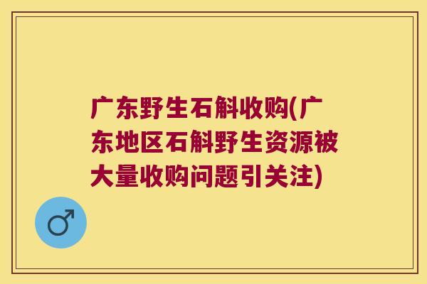 广东野生石斛收购(广东地区石斛野生资源被大量收购问题引关注)