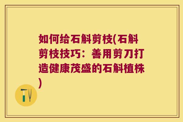 如何给石斛剪枝(石斛剪枝技巧：善用剪刀打造健康茂盛的石斛植株)