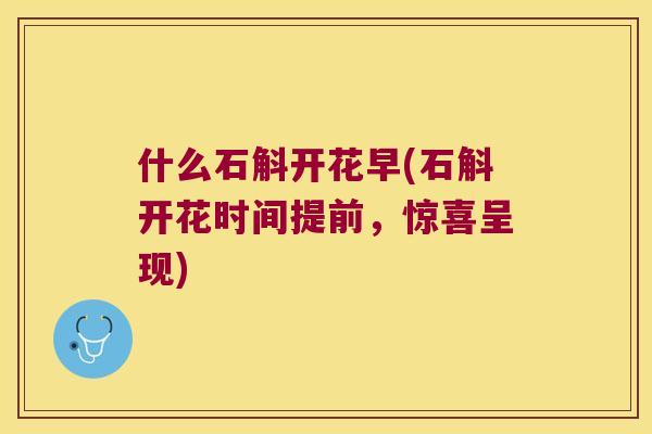 什么石斛开花早(石斛开花时间提前,惊喜呈现) 什么石斛开花早(石斛开花时间提前,惊喜呈现)