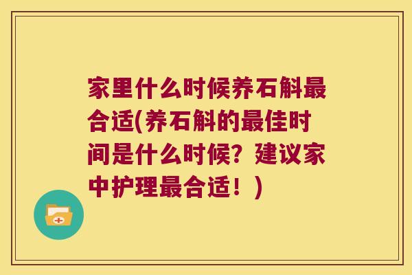 家里什么时候养石斛最合适(养石斛的最佳时间是什么时候？建议家中护理最合适！)
