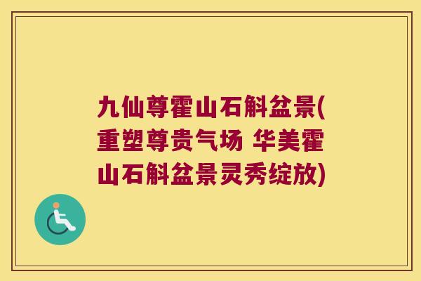 九仙尊霍山石斛盆景(重塑尊贵气场 华美霍山石斛盆景灵秀绽放)
