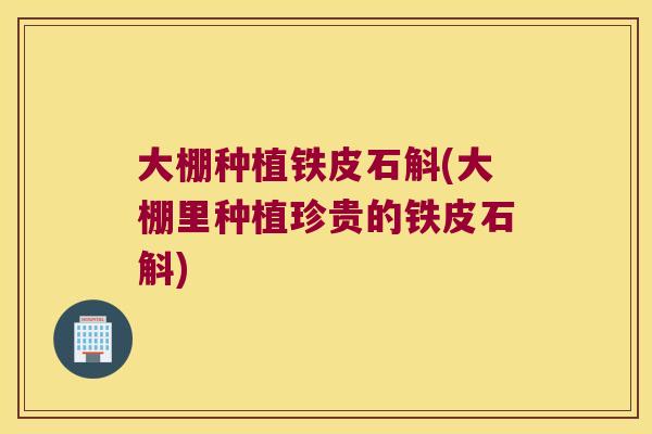 大棚种植铁皮石斛(大棚里种植珍贵的铁皮石斛)