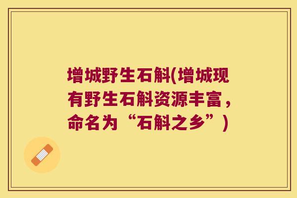 增城野生石斛(增城现有野生石斛资源丰富，命名为“石斛之乡”)