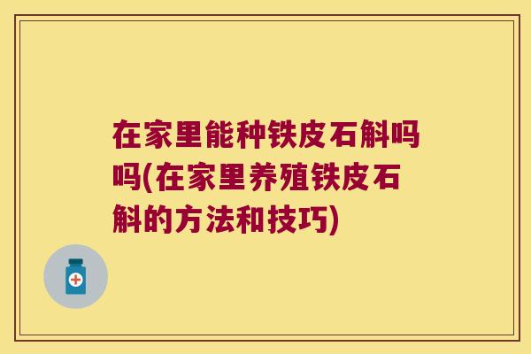 在家里能种铁皮石斛吗吗(在家里养殖铁皮石斛的方法和技巧)
