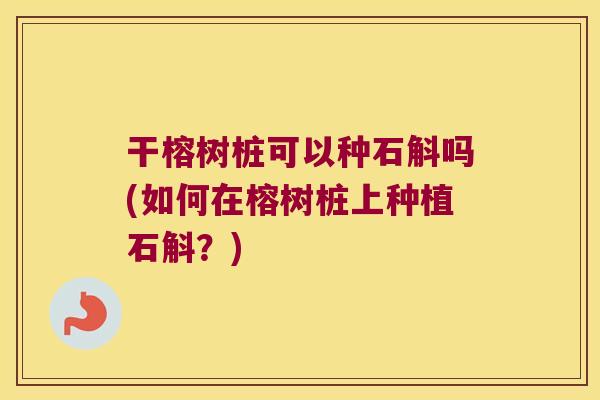 干榕树桩可以种石斛吗(如何在榕树桩上种植石斛？)