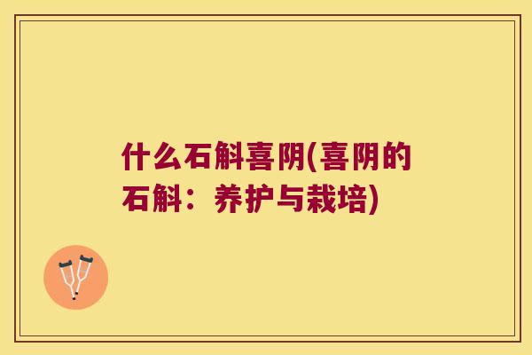 什么石斛喜阴(喜阴的石斛：养护与栽培)
