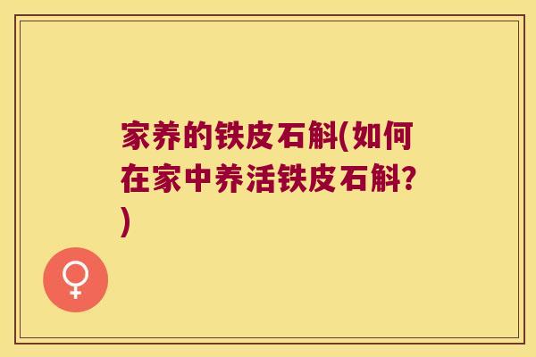 家养的铁皮石斛(如何在家中养活铁皮石斛？)
