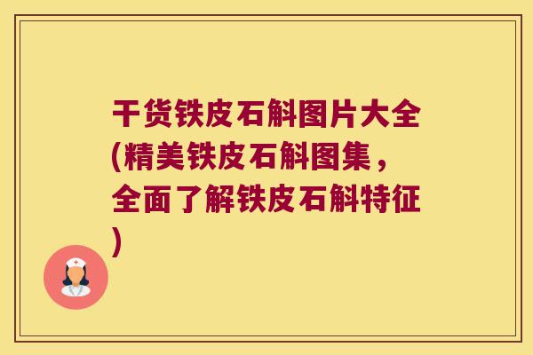 干货铁皮石斛图片大全(精美铁皮石斛图集，全面了解铁皮石斛特征)