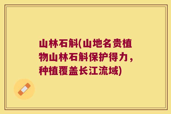 山林石斛(山地名贵植物山林石斛保护得力，种植覆盖长江流域)