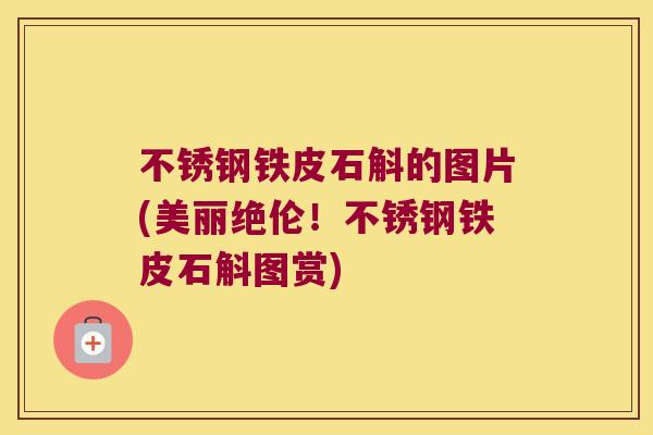 不锈钢铁皮石斛的图片(美丽绝伦！不锈钢铁皮石斛图赏)