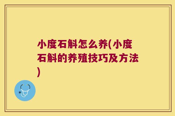 小度石斛怎么养(小度石斛的养殖技巧及方法)