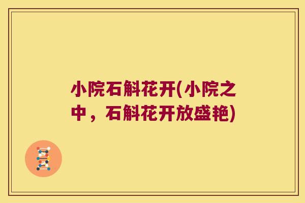 小院石斛花开(小院之中，石斛花开放盛艳)
