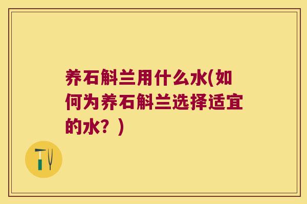 养石斛兰用什么水(如何为养石斛兰选择适宜的水？)