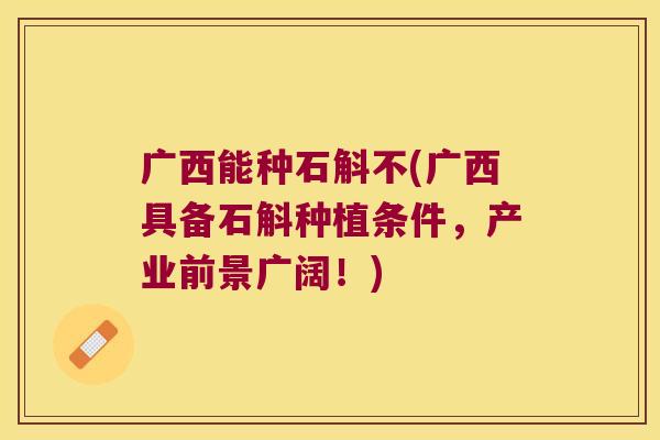 广西能种石斛不(广西具备石斛种植条件，产业前景广阔！)