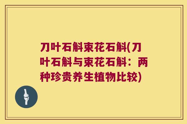 刀叶石斛束花石斛(刀叶石斛与束花石斛：两种珍贵养生植物比较)