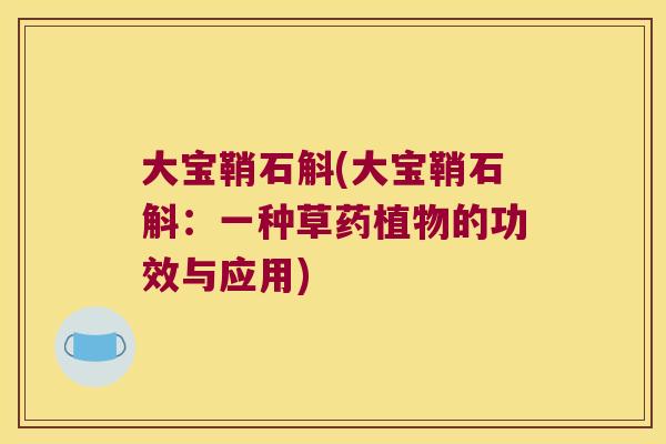 大宝鞘石斛(大宝鞘石斛：一种草药植物的功效与应用)