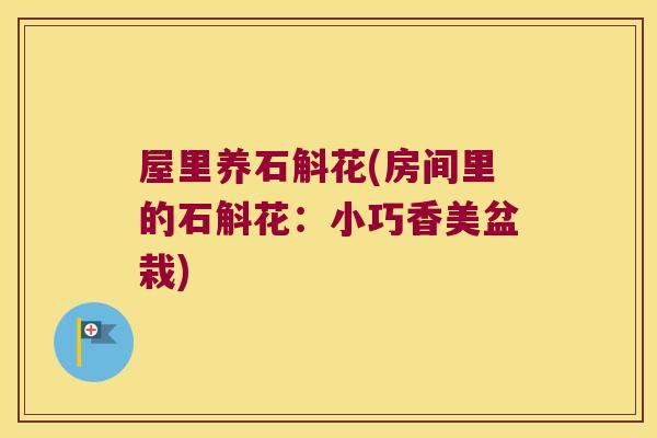 屋里养石斛花(房间里的石斛花：小巧香美盆栽)