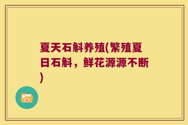 夏天石斛养殖(繁殖夏日石斛，鲜花源源不断)