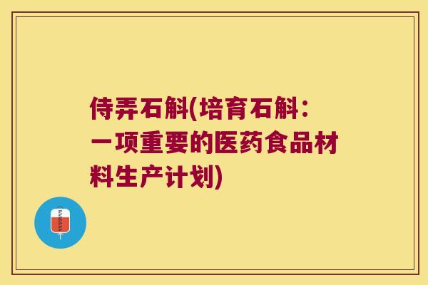 侍弄石斛(培育石斛：一项重要的医药食品材料生产计划)