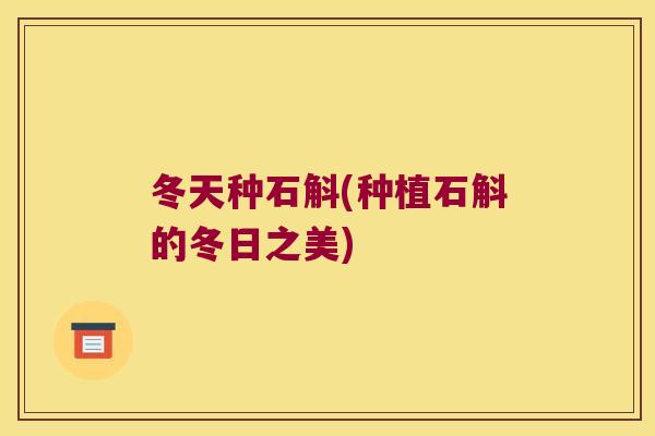 冬天种石斛(种植石斛的冬日之美)