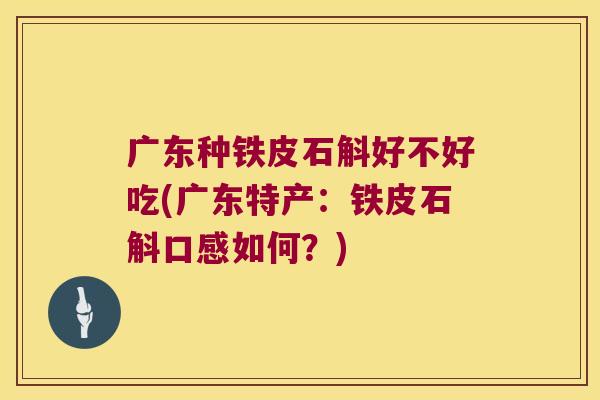 广东种铁皮石斛好不好吃(广东特产：铁皮石斛口感如何？)