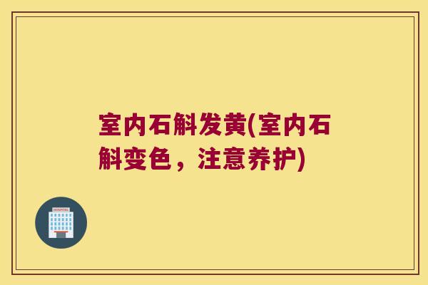 室内石斛发黄(室内石斛变色，注意养护)