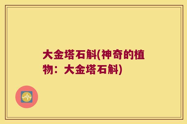 大金塔石斛(神奇的植物：大金塔石斛)