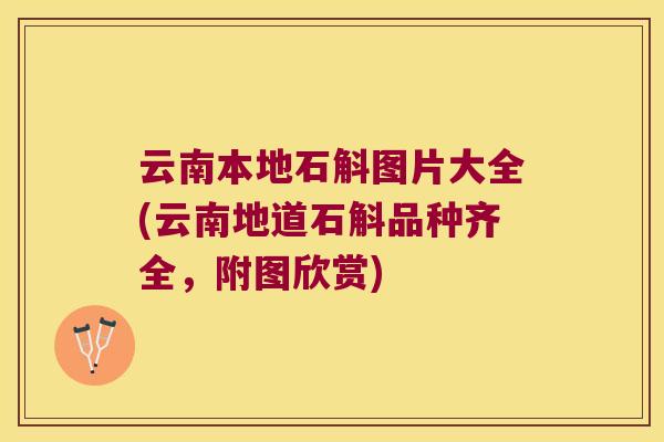 云南本地石斛图片大全(云南地道石斛品种齐全，附图欣赏)