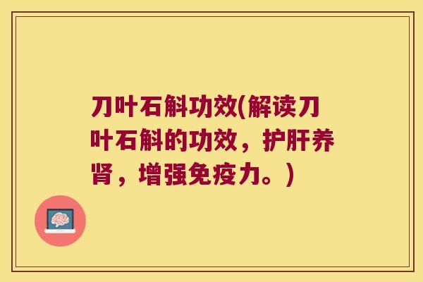 刀叶石斛功效(解读刀叶石斛的功效，护肝养肾，增强免疫力。)