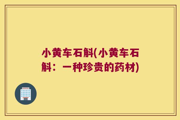 小黄车石斛(小黄车石斛:一种珍贵的药材) 小黄车石斛(小黄车石斛:一种珍贵的药材)