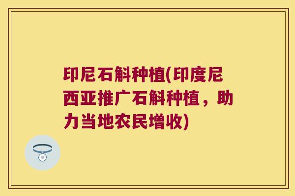 印尼石斛种植(印度尼西亚推广石斛种植，助力当地农民增收)