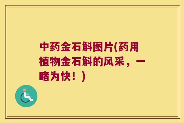 中药金石斛图片(药用植物金石斛的风采，一睹为快！)