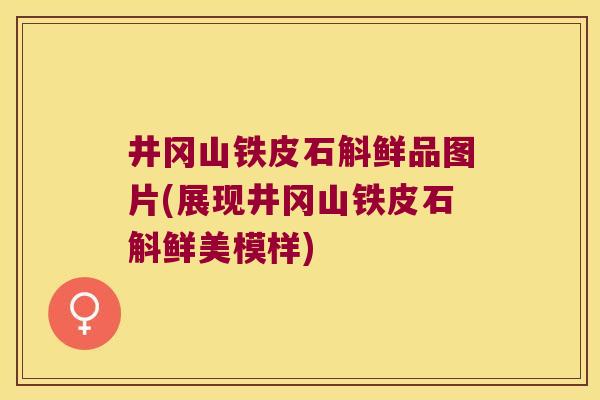 井冈山铁皮石斛鲜品图片(展现井冈山铁皮石斛鲜美模样)