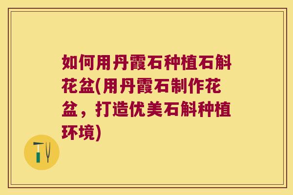如何用丹霞石种植石斛花盆(用丹霞石制作花盆，打造优美石斛种植环境)