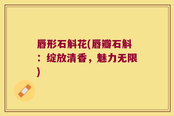 唇形石斛花(唇瓣石斛：绽放清香，魅力无限)