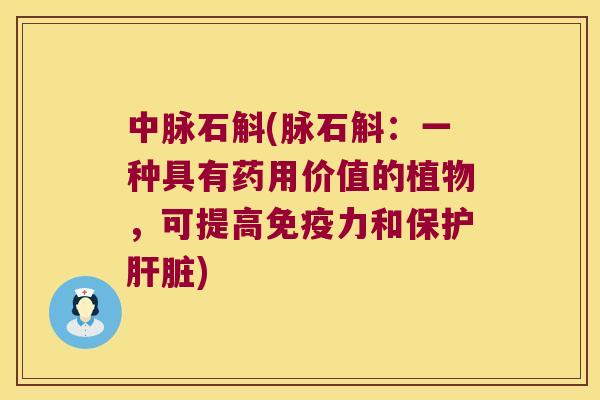 中脉石斛(脉石斛：一种具有药用价值的植物，可提高免疫力和保护肝脏)