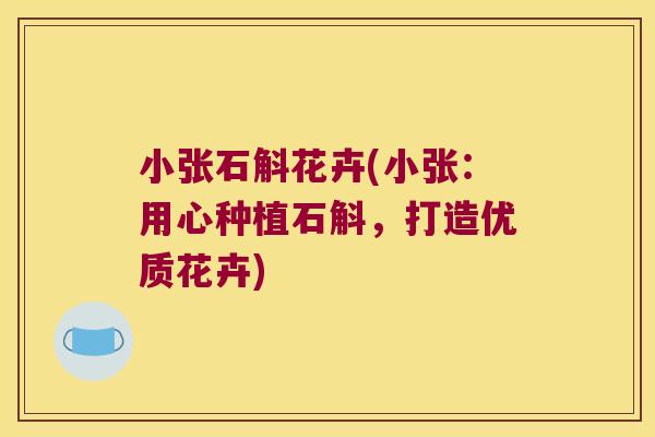 小张石斛花卉(小张：用心种植石斛，打造优质花卉)