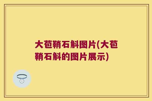 大苞鞘石斛图片(大苞鞘石斛的图片展示)