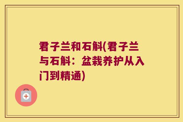 君子兰和石斛(君子兰与石斛：盆栽养护从入门到精通)