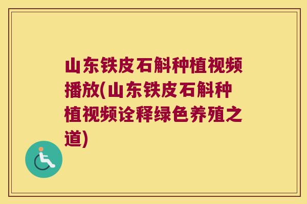 山东铁皮石斛种植视频播放(山东铁皮石斛种植视频诠释绿色养殖之道)