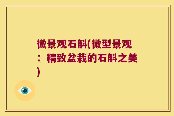 微景观石斛(微型景观：精致盆栽的石斛之美)