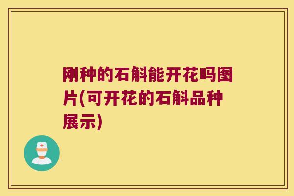 刚种的石斛能开花吗图片(可开花的石斛品种展示)