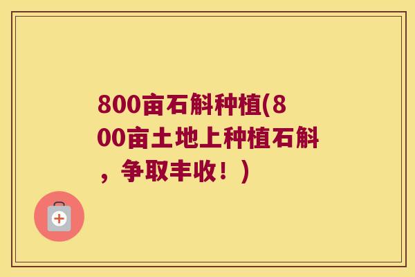 800亩石斛种植(800亩土地上种植石斛，争取丰收！)