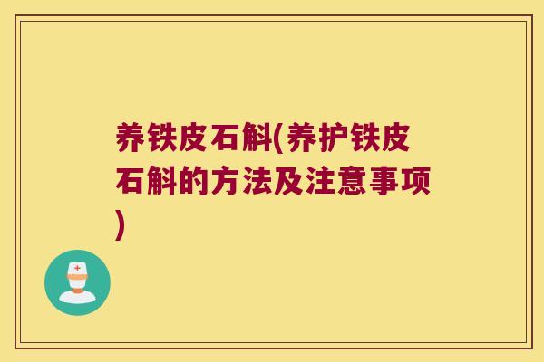 养铁皮石斛(养护铁皮石斛的方法及注意事项)