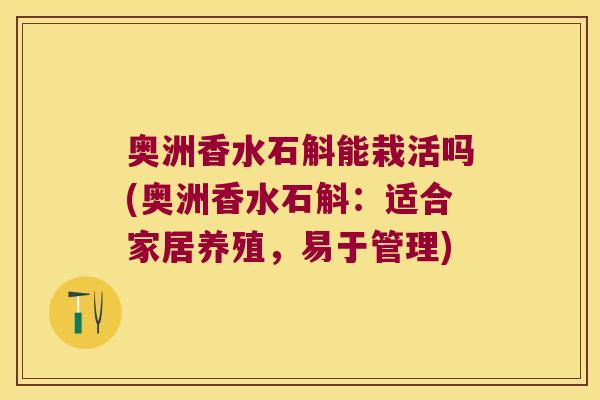奥洲香水石斛能栽活吗(奥洲香水石斛：适合家居养殖，易于管理)