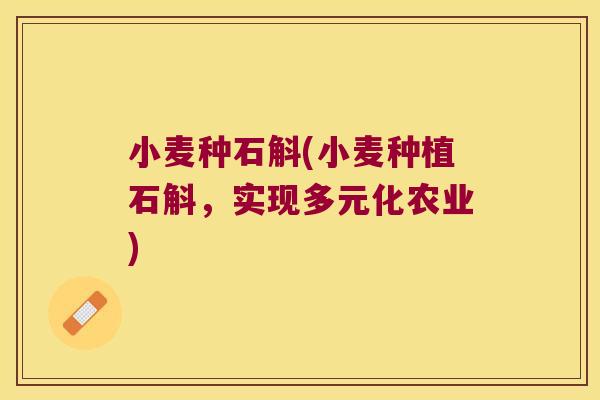 小麦种石斛(小麦种植石斛，实现多元化农业)
